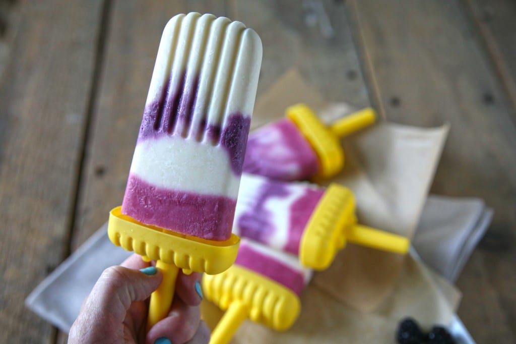 Berry Swirled Yogurt Pops | BourbonAndHoney.com