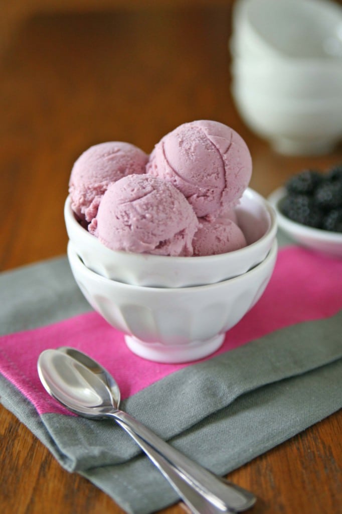 Blackberry-Coconut Ice Cream | BourbonAndHoney.com