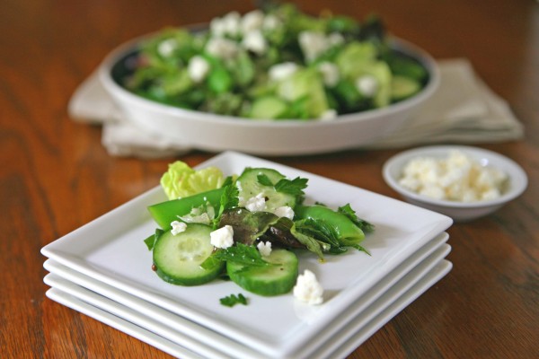 Snap Pea and Cucumber Salad | BourbonAndHoney.com -- This quick and flavorful Snap Pea and Cucumber Salad recipe is made with fresh farmers market veggies and a light mint vinaigrette.