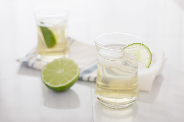 Gin and Tonic | BourbonandHoney.com