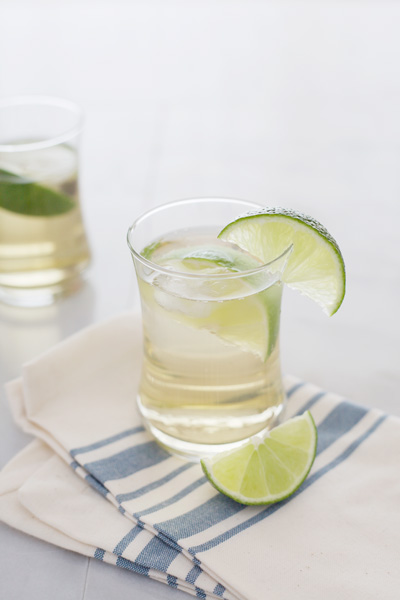 Gin and Tonic | BourbonandHoney.com