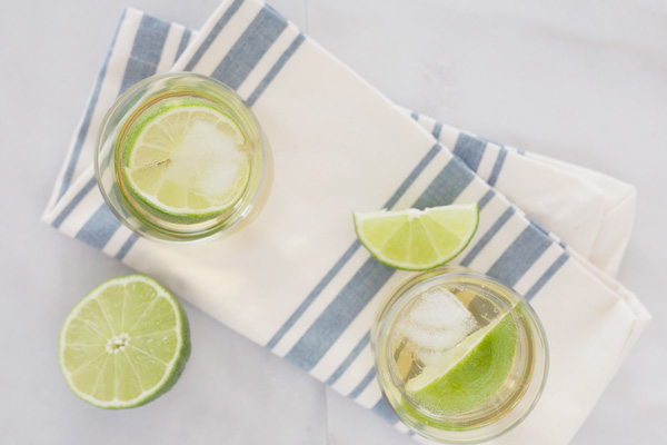 Gin and Tonic | BourbonandHoney.com