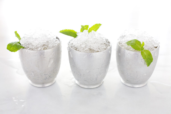 Bourbon and Honey Mint Julep | BourbonAndHoney.com 