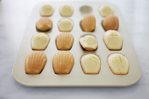 Chocolate Dipped Vanilla Bean Madeleines | BourbonAndHoney.com