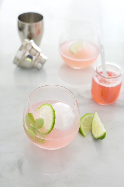 Rhubarb Gimlet | BourbonandHoney.com -- This pretty pink Rhubarb Gimlet cocktail is the perfect sipping cocktail. It's light, fresh and slightly sweet.