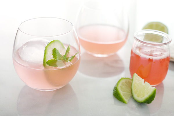 Rhubarb Gimlet | BourbonAndHoney.com