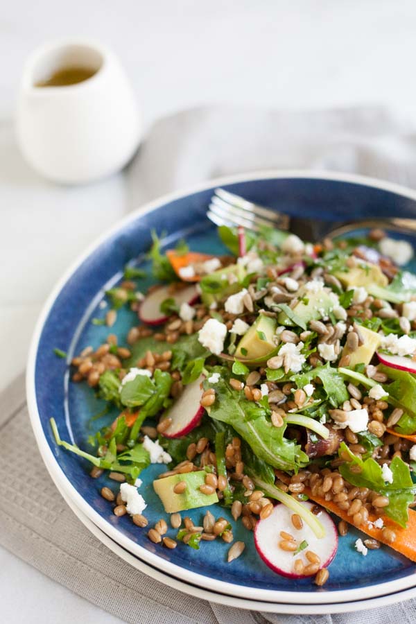 Carrot, Radish and Wheat Berry Salad with Lemon Vinaigrette | BourbonandHoney.com -- Fresh, citrusy and packed with veggies, this Wheat Berry Salad with Lemon Vinaigrette is the perfect light and filling summer salad.