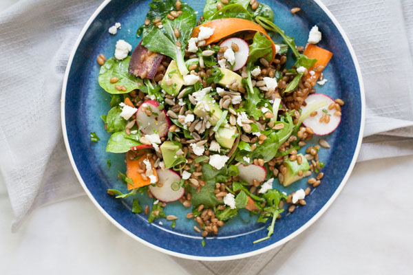 Carrot, Radish and Wheat Berry Salad with Lemon Vinaigrette | BourbonandHoney.com -- Fresh, citrusy and packed with veggies, this Wheat Berry Salad with Lemon Vinaigrette is the perfect light and filling summer salad.