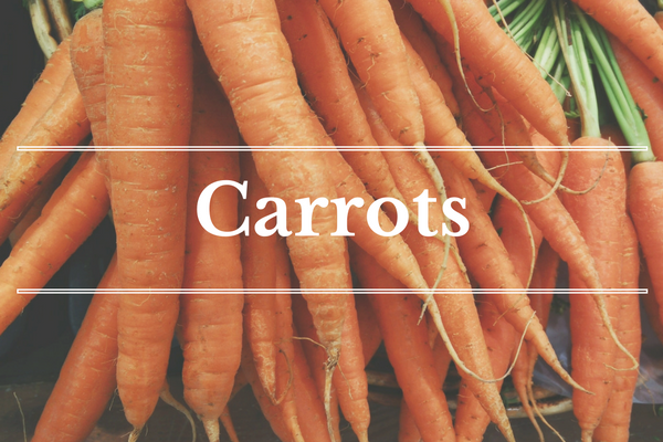 What's in Season: November - Carrots | BourbonandHoney.com