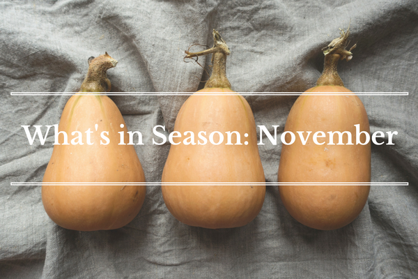 What's in Season: November | BourbonandHoney.com