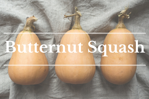 What's in Season: January - Butternut Squash | BourbonandHoney.com