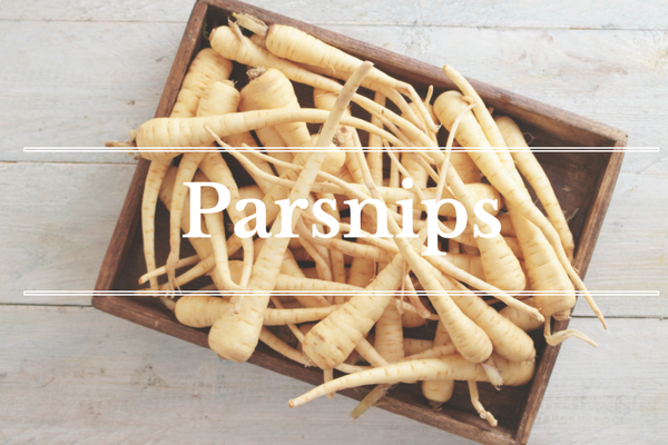 What's in Season: January - Parsnips | BourbonandHoney.com