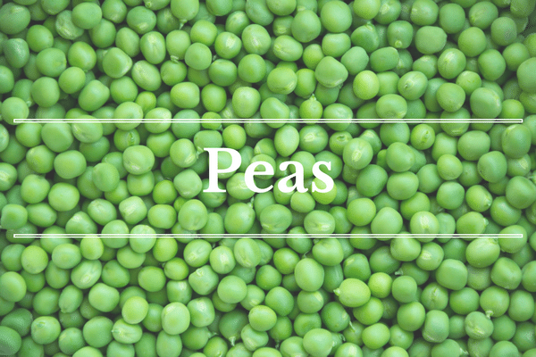 What's in Season: Peas | BourbonandHoney.com