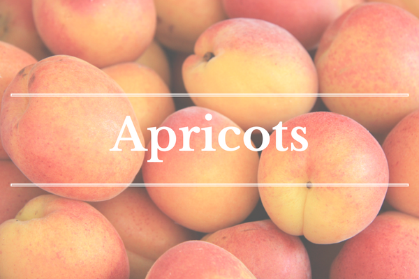 What's in Season: Apricots | What's in Season: Nectarines | BourbonandHoney.com --From apricots, arugula and kohlrabi to strawberries and peas this ‘What’s in Season’ feature is a collection of the best fruits, veggies and recipes for the month of May.