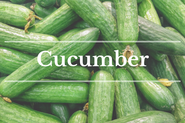 What's in Season: Cucumber | BourbonandHoney.com -- From mangos and cucumbers to blackberries and swiss chard this ‘What’s in Season’ feature is a collection of the best fruits, veggies and recipes for the month of June.