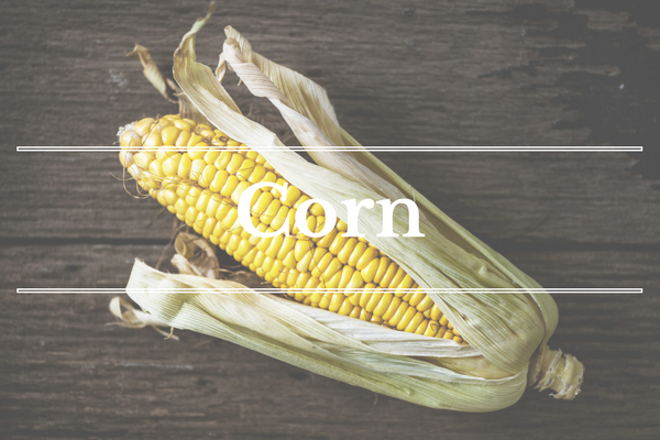 What's in Season: Sweet Corn | BourbonandHoney.com -- From corn and eggplant to green beans and peaches this ‘What’s in Season’ feature is a collection of the best fruits, veggies and recipes for the month of July.