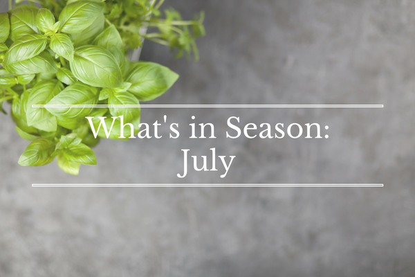 What's in Season: July | BourbonandHoney.com -- From corn and eggplant to green beans and peaches this ‘What’s in Season’ feature is a collection of the best fruits, veggies and recipes for the month of July.