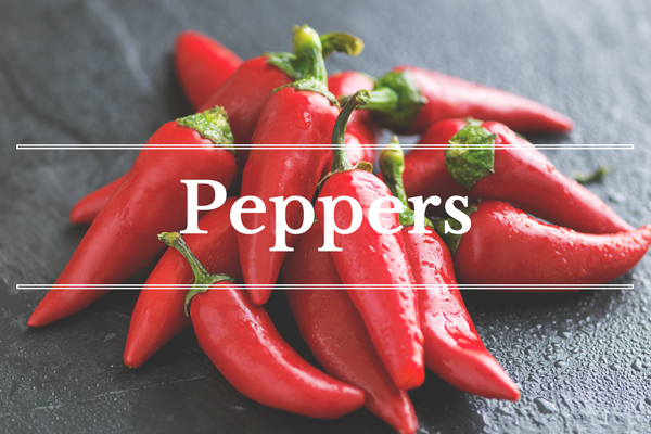 What's in Season: Peppers | BourbonandHoney.com