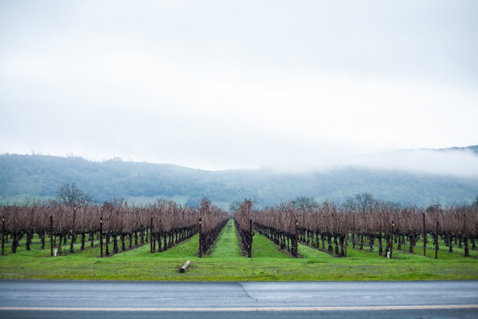 Adventure: Weekend in Napa Valley | BourbonandHoney.com