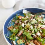 Carrot, Radish and Wheat Berry Salad with Lemon Vinaigrette | BourbonandHoney.com -- Fresh, citrusy and packed with veggies, this Wheat Berry Salad with Lemon Vinaigrette is the perfect light and filling summer salad.