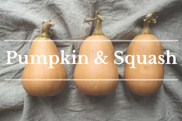 What's in Season: November - Pumpkin and Squash | BourbonandHoney.com