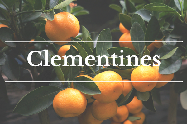 What's in Season: December - Clementines | BourbonandHoney.com