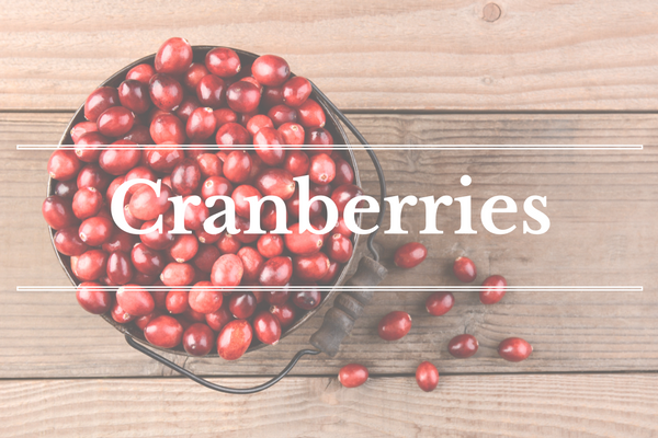What's in Season: December - Cranberries | BourbonandHoney.com
