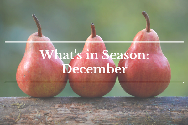 What's in Season: December - Cookies | BourbonandHoney.com