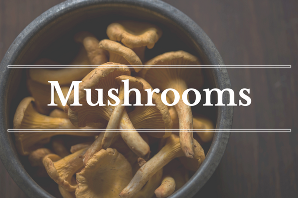 What's in Season: December - Mushrooms | BourbonandHoney.com