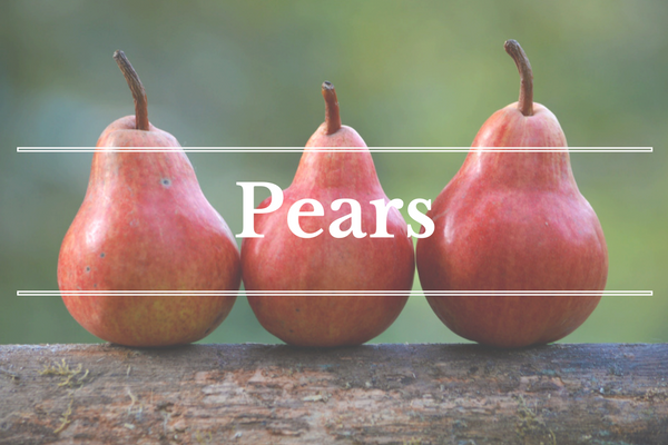 What's in Season: December - Pears | BourbonandHoney.com