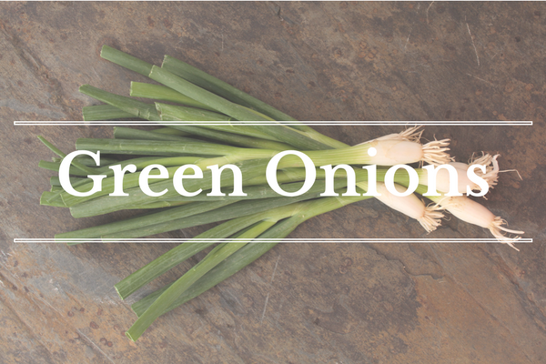 What's in Season: March - Green Onions | BourbonandHoney.com