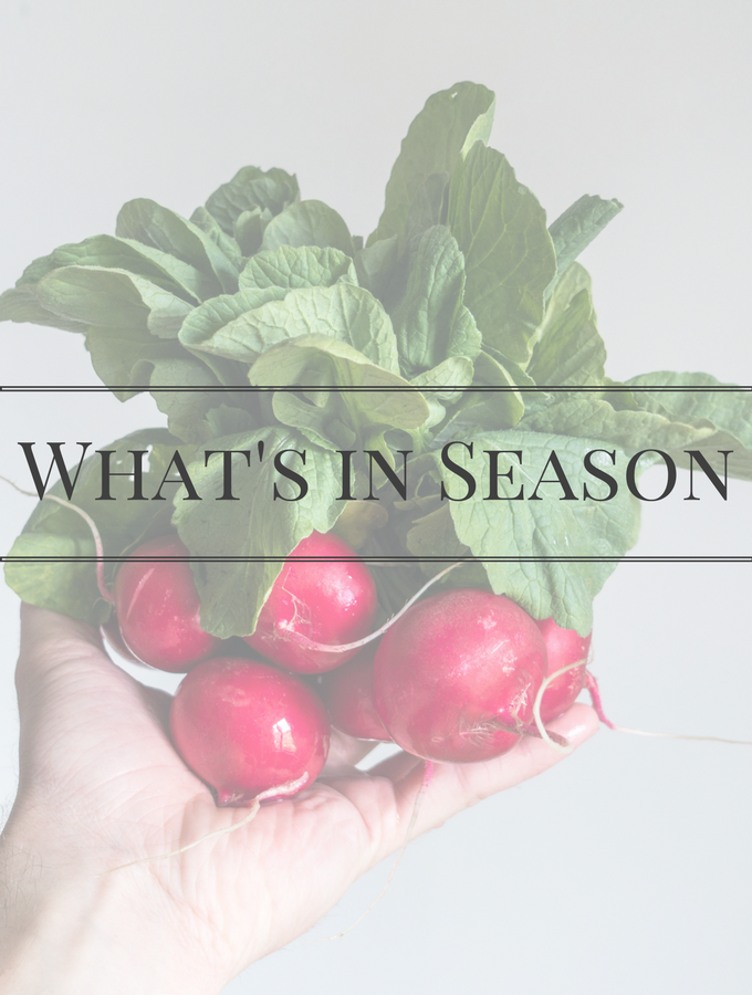 What's in Season | BourbonandHoney.com